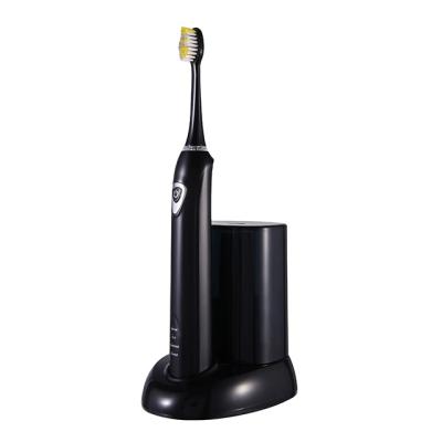 China Electric Toothbrush Waterproof Ultrasonic Adult Vibration Feature Battery Operated Toothbrush for sale