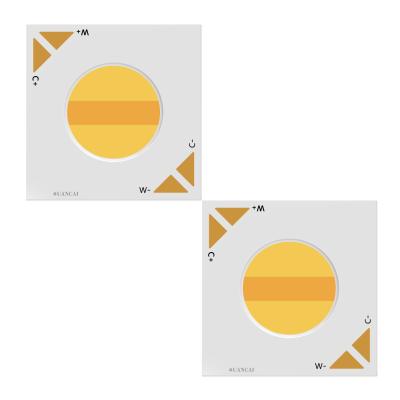 China Downlight/Tracklight Cree Size CXA1304 LE TDC Dimming 2700-6000K 6W LED COB CHIP High CRI90 Double Channel for sale