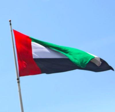 China UAE Country Flags United Arab Emirates Hanging National Flag for sale