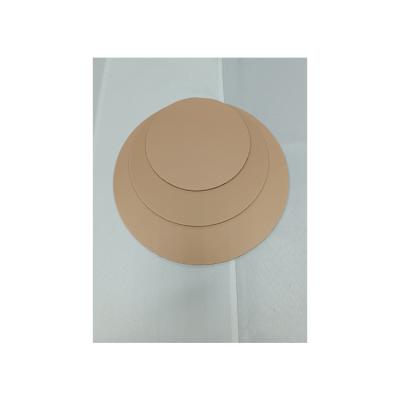 China Sustainable Factory Wholesale Custom Made 10In Cork Plant Pot Saucer Leak Proof Cork Absorbent Plant Pad for sale