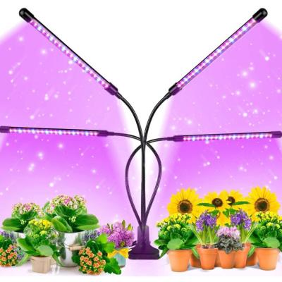 China Seed Starting Clip Full Spectrum Plant Growing Lamp With Adjustable Timer Clip Grow Light For Indoor Plants Flowers for sale