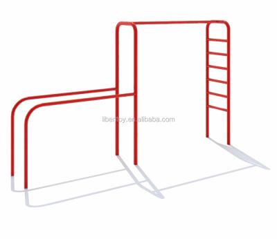 China China Outdoor Park Playground Steel Frame Children Climbing Monkey Bars Gym Equipment 5.LE.X5.605.131.01A for sale