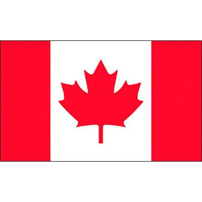 China Outdoor Use Large 90 x 150cm Flags and Large Banners Canadian Flag Banner Polyester Printed Canada National Flag for sale