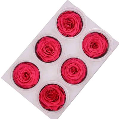 China Wedding Party China Rose Flower Fresh Rose Heads A Natural Grade Preserved Rose Heads for sale