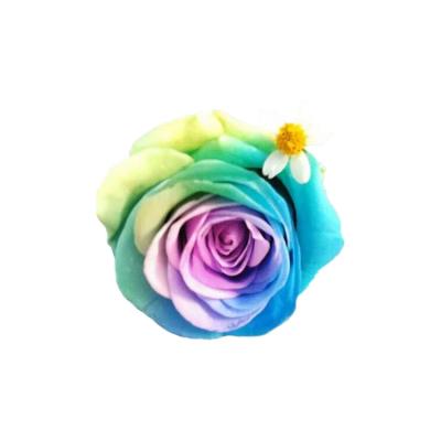 China Lasting 4-5 Colored Preserved Eternal Rose Head Artificial Flower Rose Head Flower DIY for sale