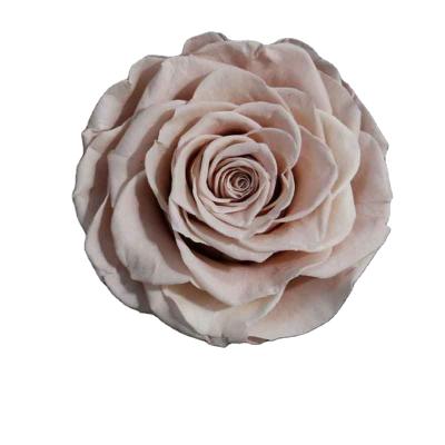 China Green Environmental Protection Against Yunnan Newly Preserved Grade 9-10cm Real Rose Flower Rose Head for sale