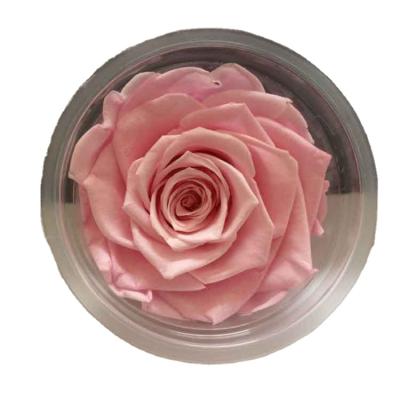 China Wedding Party Factory Supplies Preserve Large Roses Preserved Long Lasting Preserved Roses Gift for sale