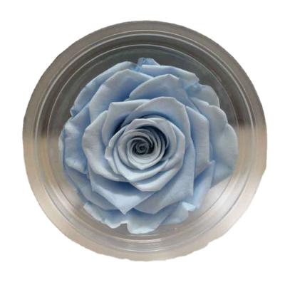 China Wholesale Wedding Party Preserved Flower Box Preserved Roses Color Preserved Real Roses for sale