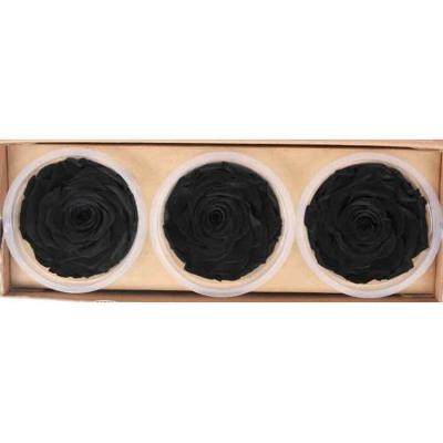 China 2021 Wedding Party New Style Preserved Roses Preserved Durable Preserved Flowers for sale