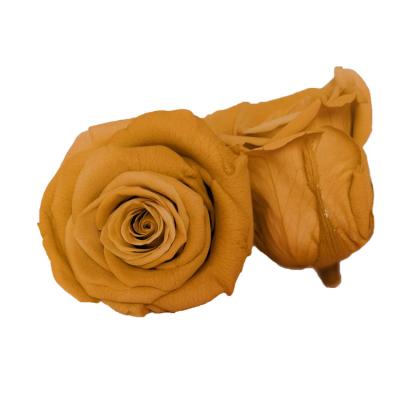 China Hot Selling Durable Forever Preserved Real Eternity Roses Head For DIY Flower Box for sale