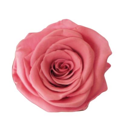 China durable premium soft touch real preserved rose head to wedding bouquet with low price for sale