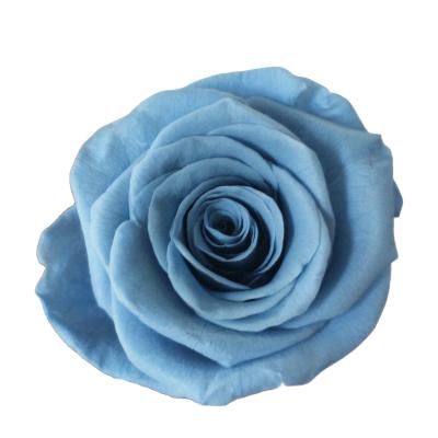 China Long Lasting Colorful Preserved Flowers 100% Natural Material Rose Forever Wedding Decoration for sale