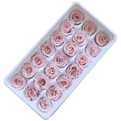 China Durable Hot Selling Dream Gift Preserved Roses Valentine's Day Best Gifts for sale