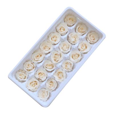 China Lasting Valentines Gift Eternity Rose Enchanted Heads Rose Preserved Roses Flower Decoration for sale