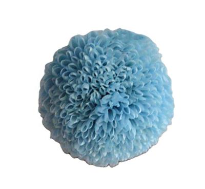 China Preserved Ping Pong Bestselling Chrysanthemum Flower Yunnan Stage Head Decoration for sale