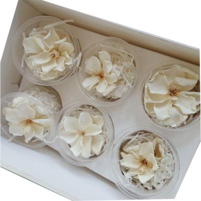 China Best Selling Wholesale Natural Real Touch Preserved Flower Cape Jasmine Head Gardenia Flowers for sale