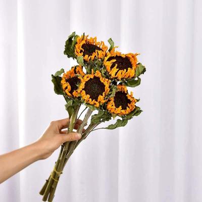 China Europe Dried Natural Sunflower Confession Gift Sunflower For Home Decoration for sale