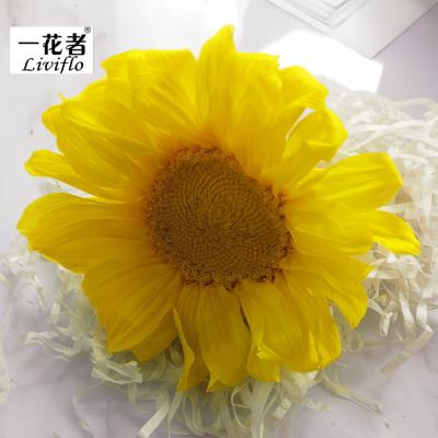 China Beautiful colorful sunflower for wedding party decoration flower box Valentine's Day holiday high quality preserved decorative flowers and garlands for sale