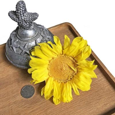 China Natural and Real Beautiful Preserved Sunflower Colorful Eternal Sunflowers for Friend Gift for sale