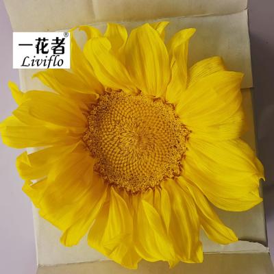 China Popular Hot Selling Popular Valentine's Day Gifts Preserved Sunflower For Home Decor for sale