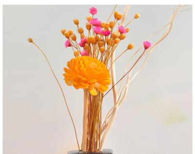 China Dry Flowers Lotus Flower Wood Flower For Home Decoration Customized Size for sale