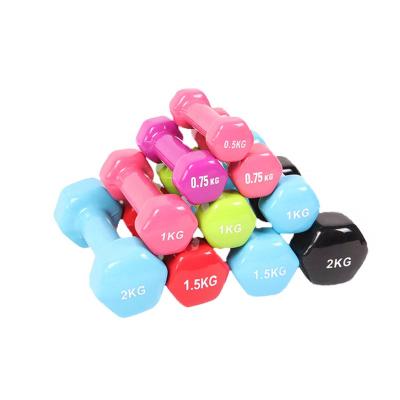 China Strength Training Hex Dumbbell Exercise Dumbbell For Home Gym Equipment Workouts Strength Training for sale