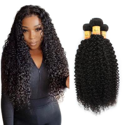 China Burma Cuticle Curly 100% Straight Single Curl Distributor Wholesaler Aligned Bundles Unprocessed Virgin Raw Burmese Curly Hair Thick Extensions for sale