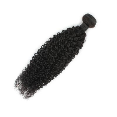 China Curly Curly Cuticle Aligned Quality Virgin Raw Indian Kinky Curly Cambodian Hair and Raw Asia Burmese Hair for sale