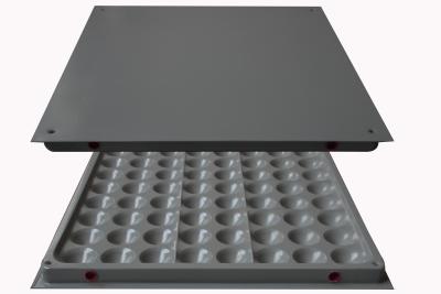 China Waterproof Modular Raised Floor Loading Capacity Steel 600mm x 600mm for sale