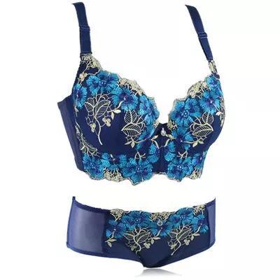 China Latest New Design Embroidery Lady Underwear Panties Antibacterial Bras for sale