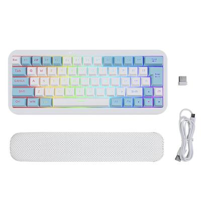 China RGB Wireless Multimedia Backlight 2.4G Wireless Gaming Keyboard For PC Mac Laptop USB 63 Key Gaming Keyboard for sale