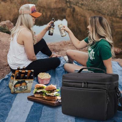 China Light Weight Large Insulated Liner Waterproof Picnic Lunch Cooler Bag for sale