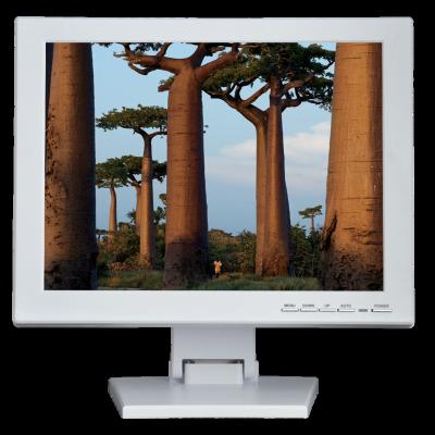 China Square Screen LCD CCTV Desktop Monitor 15 Inch TFT LCD BNC Monitor 12V With AV Input for sale