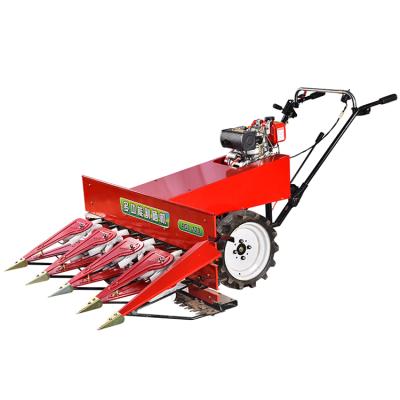 China Multifunctional rice hand push high stalk windrower maize sorghum stalks put into machine wheat harvester for sale