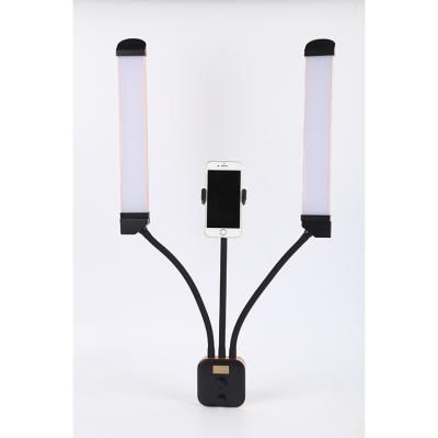 China Adjustable Brightness And New Color Temperature Led Remote Control Flexible Double Arm Light With Phone Holder for sale