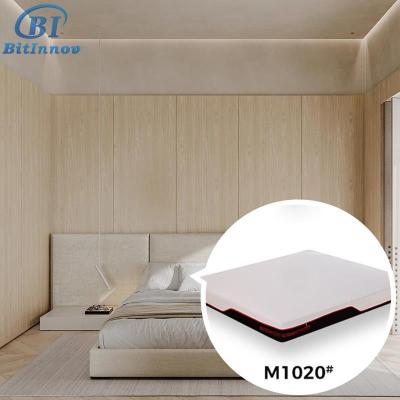 China Removable Cover Bitinnov 200*180*25cm Double Bed Mattress student super king size single bed standard mattress sizes for sale