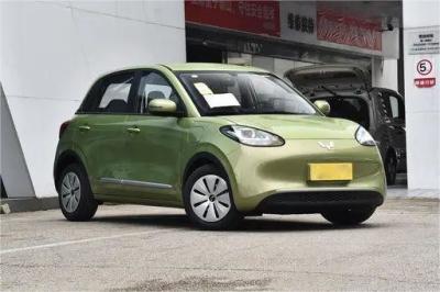 中国 Used New Energy Vehicles Wuling Bingo 333KM 2023 Model Aurora Green Color 販売のため