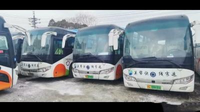 China Asientos de lujo de encargo del autobús del coche 48seats del coche del autobús eléctrico de Bus SLK6118 Shenlong en venta