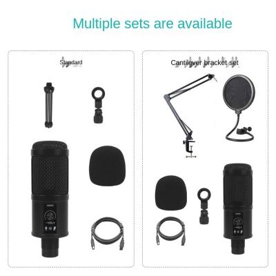 China BM-800 Microphone Manufacturer Professional Gaming USB Mic Laptop PC Desktop Desktop Condenser Microphone For Youtube Recording Studio for sale