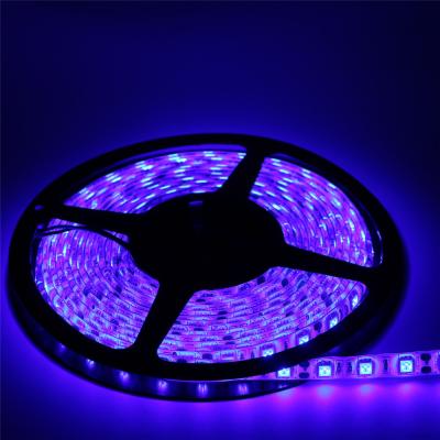 China Waterproof High Lumen SMD 5050 5M 60led/m LED UV Light Strips 12v 14.4w/m IP65 LED Rope Light Desktop for sale