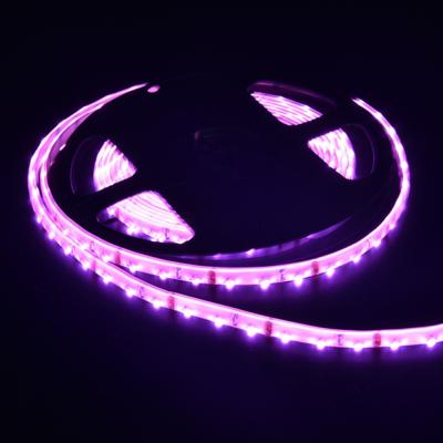 China High CRI 335 60leds/m Desktop Lights 12v Waterproof Led Strips For 335 Sides Wholesale Emission for sale