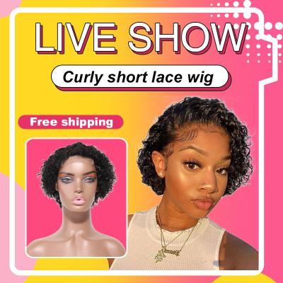 China Free Shipping Short Curly Curly Lace Front Wig, 100% Wholesale Hair Short Wig For Black Women for sale