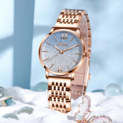 China New OLEVS 6893 Water Resistant Fashion Watch for Girls Women Waterproof Stainless Steel Elegant Sky Watch Beautiful Watches in Wristwatches for sale