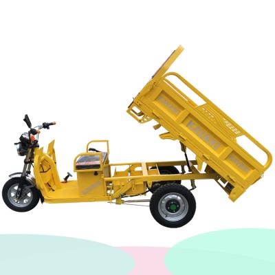 China China Factory Wholesale Electric Cargo Motors For Electric Auto Mobility Scooter Rickshaw / Motorcycle Truck 3 Wheel Tricycle for sale