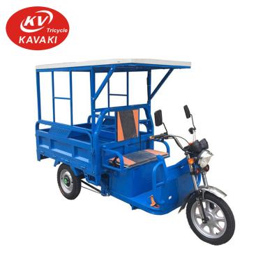 China High quality cargo motorcycle tricycle transportation for cargo electric tricycle solar panel for sale for sale