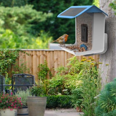 China Pinelake AI Smart Bird Feeder Backyard Plastic Acrylic Wild Bird Food Dispenser Smart Bird Feeder With High Quality for sale