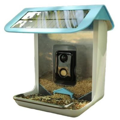 China Pinelake Automatic Wholesale Trees Hanging Bird House Feeder with AI Recognition Camera and Solar Panel for sale