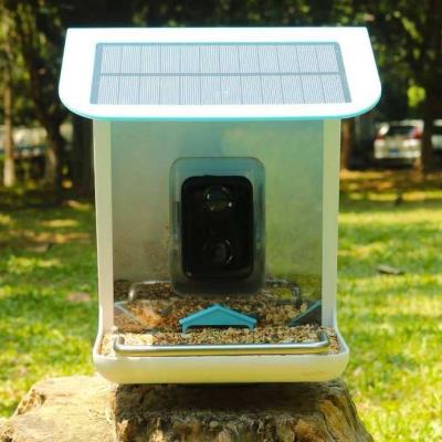 China Innovative New Automatic Pinelake Bird Feeder With Ultra-Sized HD Photo Camera for sale