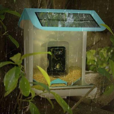 China Pinelake HD automatic solar camera birder energy saving feeder with wall mounted installation for sale