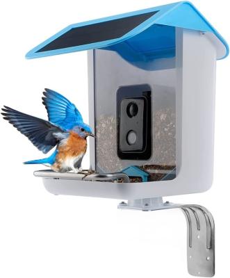 China WiFi Automatic Smart Bird Camera Garden Bird Driver Wild Bird Feeder With Solar Panel for sale